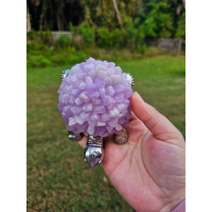 kunzite chips turtle